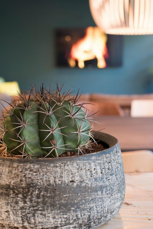 Court Garden Hotel - Ecodesigned image 22