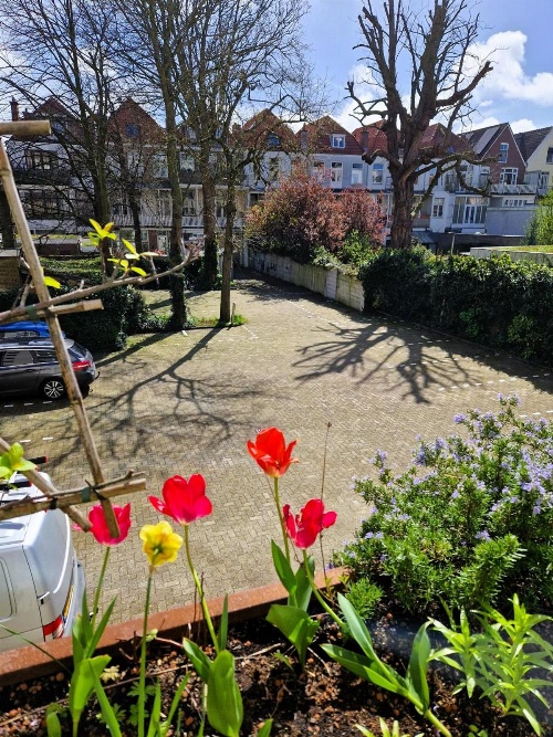 Court Garden Hotel - Ecodesigned image 3