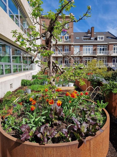 Court Garden Hotel - Ecodesigned image 4